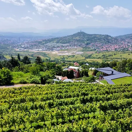 Hedona Vineyard Lejlighed