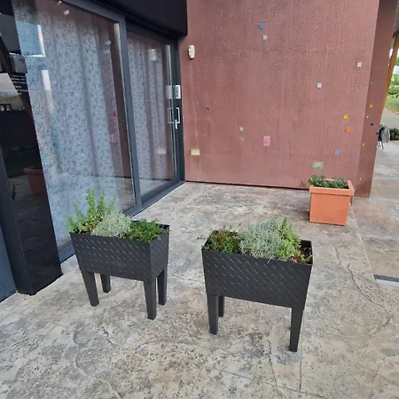 Hedona Vineyard Lägenhet *